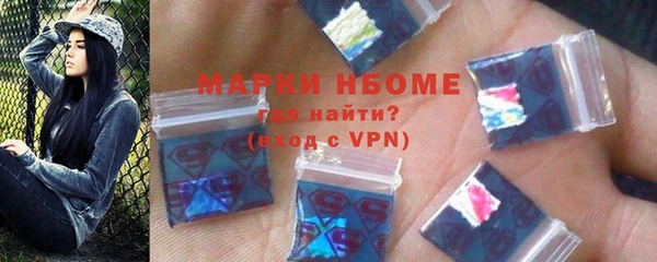 ГАЛЛЮЦИНОГЕННЫЕ ГРИБЫ Аркадак